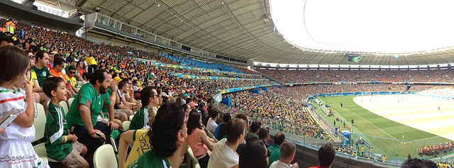 鼎总冠军