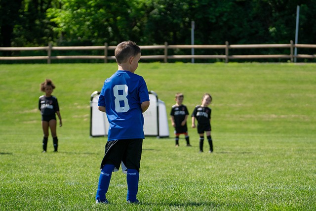 不仅如此 不仅如此