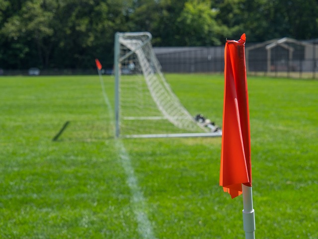 释了何为 释了何为