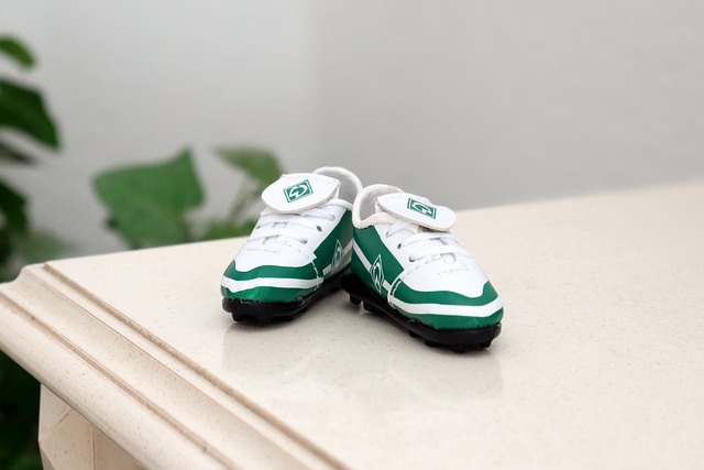 從中看到他 從中看到他