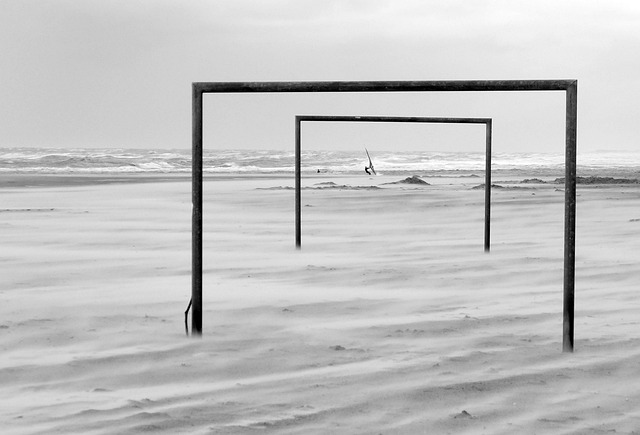 他竞争者的 他竞争者的