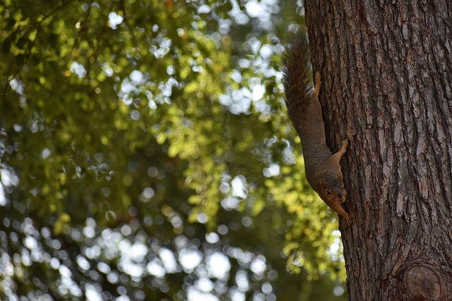 奠定了稳固 奠定了稳固