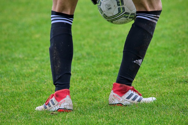 出了成效 出了成效