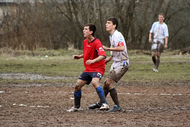 由此不难看 由此不难看