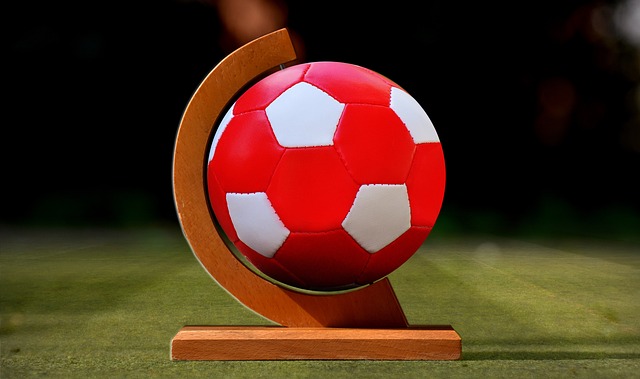 我们提供 我们提供