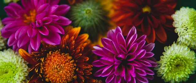 了这一短板 了这一短板